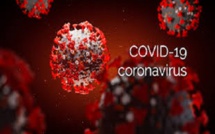 Cadence macabre du Coronavirus: 6 nouveaux décès enregistrés, hier