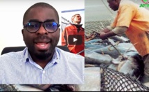 KÀDDUG NDAWI REWMI: Nouvelles licences de pêche pour les entreprises étrangères (Vidéo)