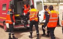 VIDEO - 175 kilos de chanvre indien saisis à Kédougou: Un fou tue un vigile à Touba