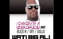 Big Ali  feat Wati B: "sexion d'assaut"