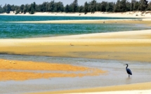 Boulimie foncière, boom immobilier sans cohérence, anarchies en tout genre…  Le littoral au bord de l’asphyxie