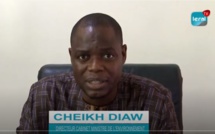 Hectares cédés de la Forêt classée de Mbao: Cheikh Diaw, le chef de Cabinet du ministre de l'Environnement blanchit son patron et ...