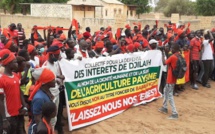 Contentieux Djilakh-Sedima - Une marche annoncée à Dakar par les populations vendredi prochain