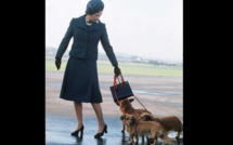Elisabeth II et ses corgis: la passion d'une vie