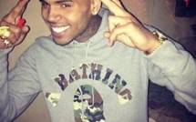 Chris Brown homophobe