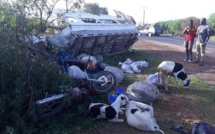 Grave accident à Louga: Un car Ndiaga Ndiaye se renverse faisant plusieurs blessés
