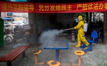 Chine : un village placé en quarantaine après un cas mortel de peste Bubonique !
