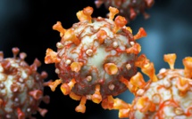 Coronavirus : ce qu'on sait… et ce qu'on ne sait toujours pas