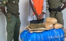 Douane: 108 kg de chanvre indien saisis au Centre et au Sud du pays
