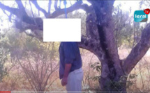 Merina Ndakhar un homme de 67ans retrouvé pendu , 7 personnes arrêtées au village de Sadio Mané
