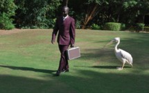 Que contient la mallette de l'élégant Bakane Seck ?