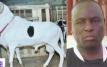 Révélations sur l’enquête de la gendarmerie: «Boy Kairé » a été braqué par ses…voisins