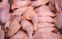 KAOLACK : saisie de 350 poulets de qualité douteuse