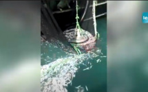 URGENT / DIRECT: Altercation entre les pêcheurs artisanaux de Cayar et des bateaux étrangers