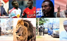 VIDEO - Magal Aïda Diallo; Projet Médina Baye; Meurtre de Bouya Diao; O. Sonko vs M. Faye, Terme sud; Alerte au lion...
