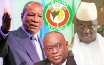 VIDEO - Me El Hadj Diouf: "La CEDEAO est complice du forcing d'Alpha Condé en Guinée"