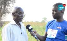 VIDEO - Commune de Ngoye: Le Chef de Village de Dara Mango décrit une situation inquiétante de la récolte