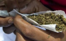 Rond-Point Liberté 6: Sept individus surpris en train de griller des joints