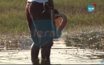 VIDEO - Incroyable: Il traque en direct 2 boas sous l'eau à Lac Rose !