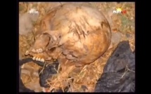 [Vidéo] Des ossements humains encore découverts à Rufisque  