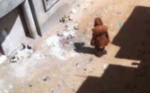 [ VIDEO ] Un kankourang dans un quartier de Dakar