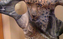 Comment surmonter ses complexes ?