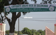 Université Assane Seck de Ziguinchor: La section SAES tire sur le Recteur !