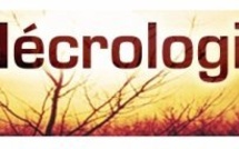 Décès du comédien et acteur Mohamed Majd