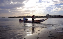 (Document) Dossier médical de la maladie mystérieuse: Voici les résultats !