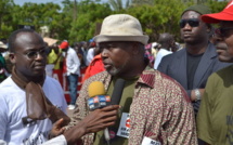 Qui pour remplacer Alioune Tine à la tête de la Raddho ?