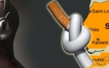Enquête : Les ados sénégalais et le tabac : une liaison dangereuse (par Vincent Gomis)