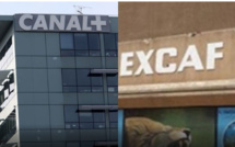 Réponse du Groupe Excaf: La convention liant la Société Canal Plus Sénégal et l’Etat du Sénégal, n’a jamais été approuvée par décret