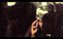 [Vidéo] Queen Biz et Amina Poté ont eu chaud...