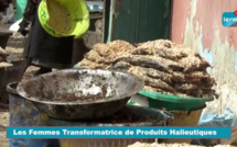 Vidéo/ Produits halieutiques: les professionnelles dans le désarroi, rareté du Yaa boye