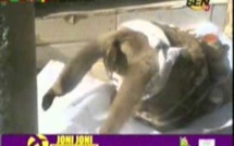 [Vidéo] Attaque Mystique à la Cité Sipres: La Tété d'un âne déposée devant une maison [Regardez!]