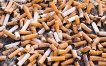 Lutte contre le tabagisme : Les députés empruntent la voie de la sensibilisation