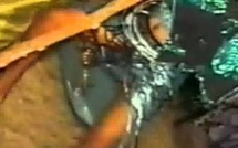 [Vidéo] Leumbeul décalé takk ci rip