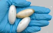 Madame continuait le business de son mari emprisonné: Coincée avec 3 boulettes de cocaïne et 1 pierre de crack