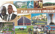 Infrastructures modernes: Sandiara veut bâtir un hub médical à court terme