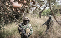 Casamance: Deux postes de contrôle du MFDC détruits par l'Armée