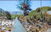 Nouveau clip! Nit Doff - "Ragal Dou Diégui Rail"