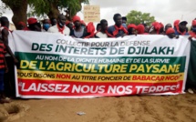 Contentieux foncier à Djilakh: Babacar Ngom "lâche" les 300 hectares litigieux