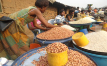 Promotion des céréales locales et autonomisation des femmes : L’AFAO pour la commande publique auprès des femmes productrices