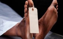 Commune de Dialambere / Arrestation du chef de village: Un exploitant forestier battu à mort