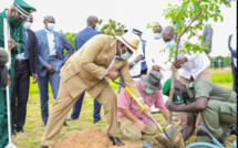 Journée de l’Environnement: Le Chef de l’Etat insiste sur la sensibilisation des populations