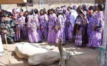 Rituel annuel «Tourou Mame Ndiaré» :  à partir de lundi Yoff célèbre son génie protecteur
