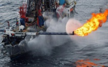 Projet gazier BP: Les inquiétudes des pêcheurs sénégalais