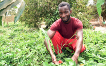 Salif Bâ, de la Fac aux champs 