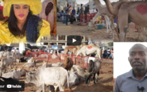 Thiant annuel au croisement Serigne Béthio: Regardez comment Sokhna Aïda Diallo l'a célébré (Vidéo)