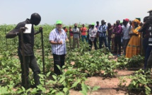 Domaines agricoles communautaires: Leur importance mise en exergue